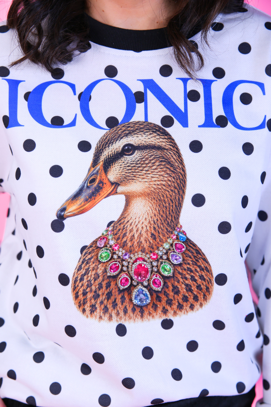 PREORDER- Pretty Wild Pullover- Iconic Duck