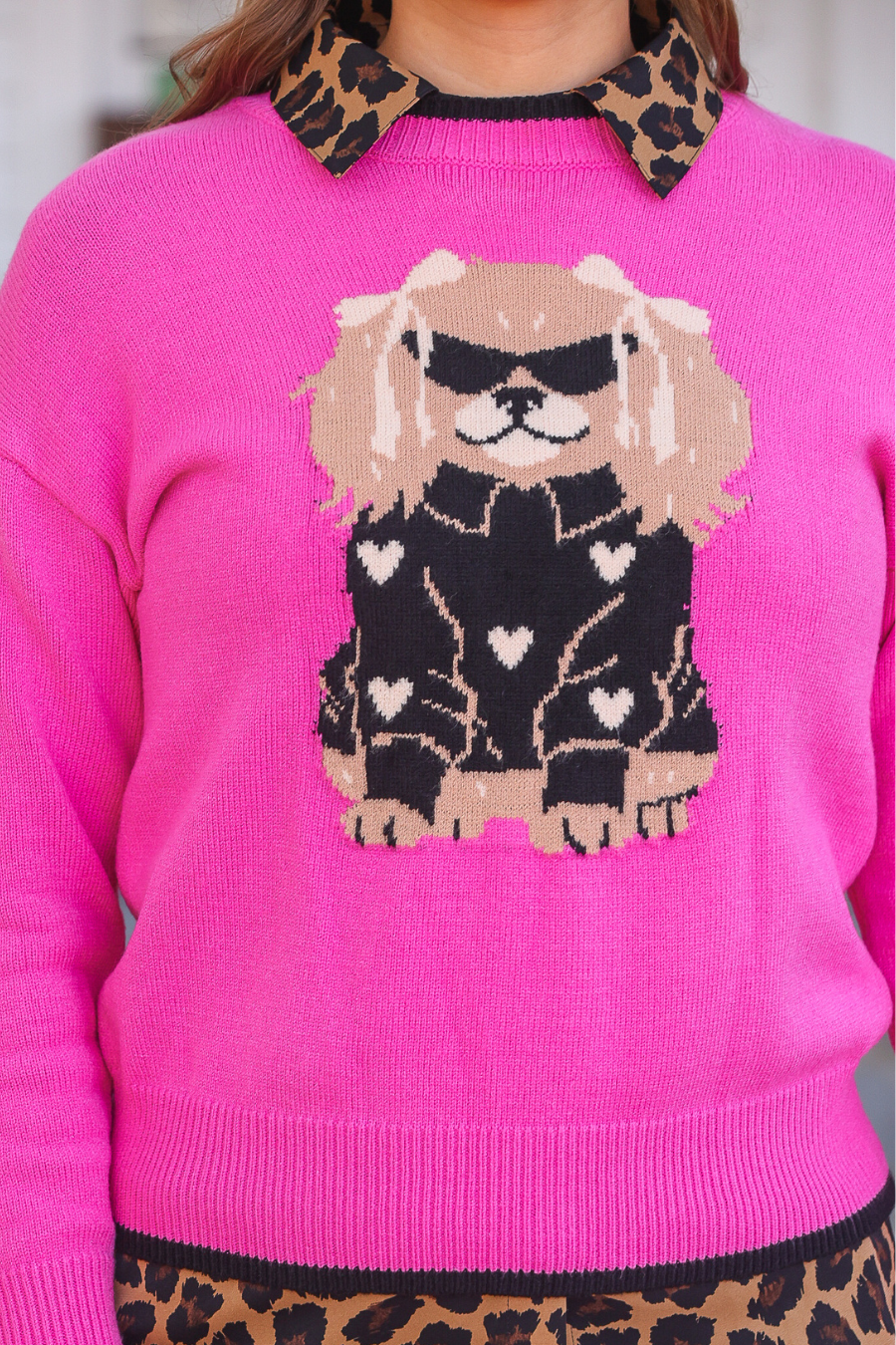 Dixie the Dog Sweater