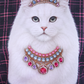 PREORDER- Pretty Wild Pullover- Jeweled Kitty