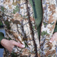 Delilah Puffer Vest- Classic Chloe Camo