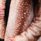 PREORDER- Oh Deer Faux Fur Jacket