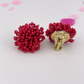 Clip On Pom Earrings