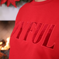Joyful Velvet Patch Luxe Pullover